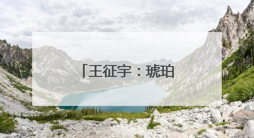 王征宇：琥珀虹膜中的我们