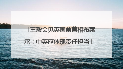 王毅会见英国前首相布莱尔：中英应体现责任担当
