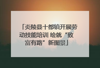 炎陵县十都镇开展劳动技能培训 绘就“致富有路”新图景