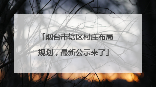 烟台市辖区村庄布局规划，最新公示来了