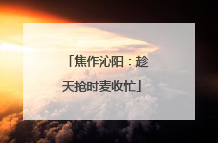 焦作沁阳：趁天抢时麦收忙