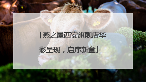 燕之屋西安旗舰店华彩呈现，启序新章