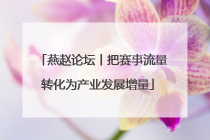 燕赵论坛丨把赛事流量转化为产业发展增量