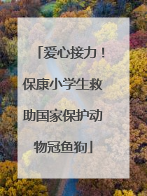 爱心接力！保康小学生救助国家保护动物冠鱼狗