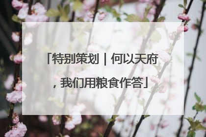 特别策划｜何以天府，我们用粮食作答
