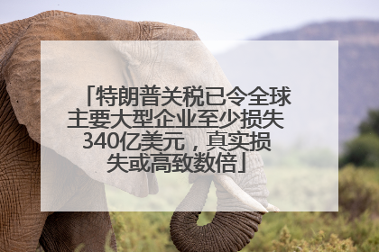 特朗普关税已令全球主要大型企业至少损失340亿美元，真实损失或高致数倍