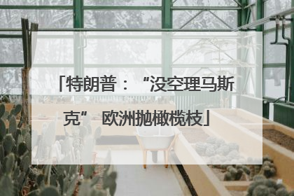 特朗普：“没空理马斯克” 欧洲抛橄榄枝