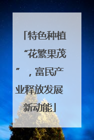 特色种植“花繁果茂”，富民产业释放发展新动能