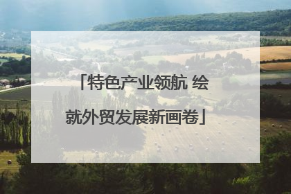 特色产业领航 绘就外贸发展新画卷