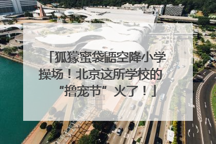 狐獴蜜袋鼯空降小学操场！北京这所学校的“撸宠节”火了！