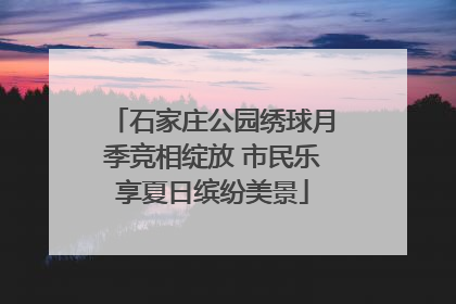 石家庄公园绣球月季竞相绽放 市民乐享夏日缤纷美景