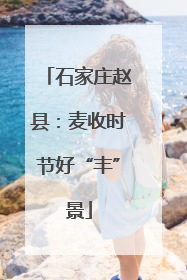 石家庄赵县：麦收时节好“丰”景