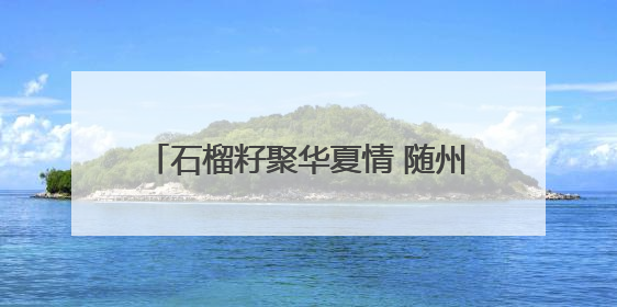石榴籽聚华夏情 随州职院学子共绘团结卷