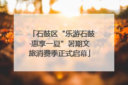 石鼓区“乐游石鼓·惠享一夏”暑期文旅消费季正式启幕