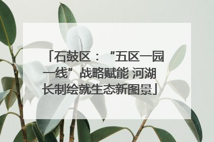 石鼓区：“五区一园一线”战略赋能 河湖长制绘就生态新图景