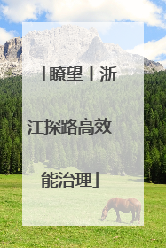 瞭望丨浙江探路高效能治理