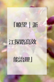 瞭望｜浙江探路高效能治理