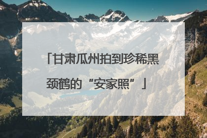 甘肃瓜州拍到珍稀黑颈鹤的“安家照”