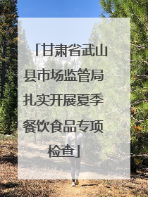 甘肃省武山县市场监管局扎实开展夏季餐饮食品专项检查