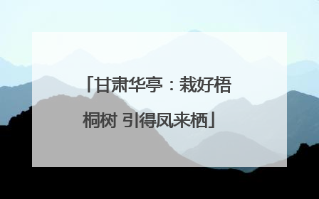 甘肃华亭：栽好梧桐树 引得凤来栖