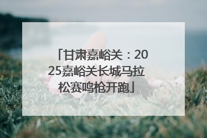 甘肃嘉峪关：2025嘉峪关长城马拉松赛鸣枪开跑