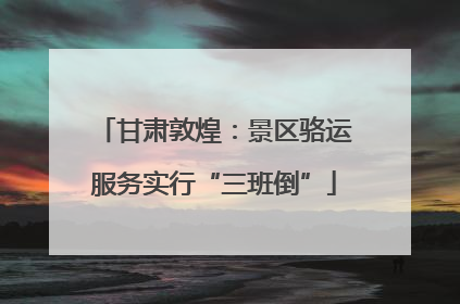 甘肃敦煌：景区骆运服务实行“三班倒”