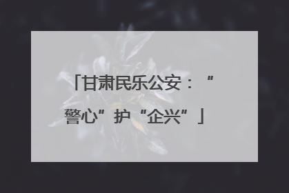 甘肃民乐公安：“警心”护“企兴”
