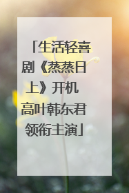生活轻喜剧《蒸蒸日上》开机 高叶韩东君领衔主演