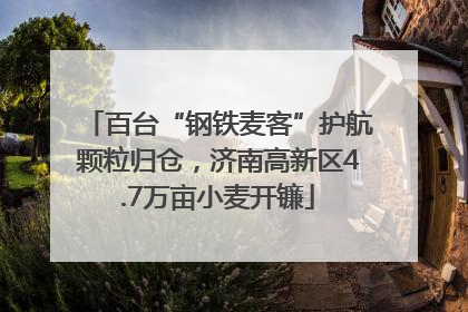 百台“钢铁麦客”护航颗粒归仓，济南高新区4.7万亩小麦开镰