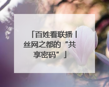 百姓看联播丨丝网之都的“共享密码”