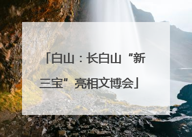 白山：长白山“新三宝”亮相文博会