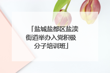 盐城盐都区盐渎街道举办入党积极分子培训班