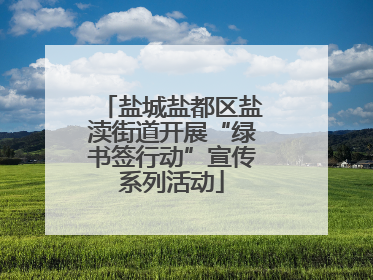 盐城盐都区盐渎街道开展“绿书签行动”宣传系列活动