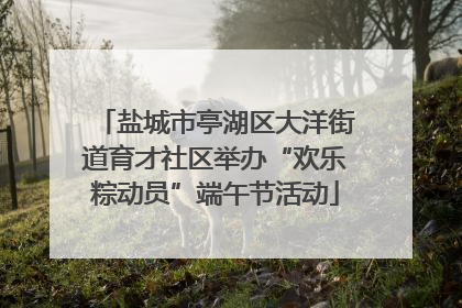 盐城市亭湖区大洋街道育才社区举办“欢乐粽动员”端午节活动