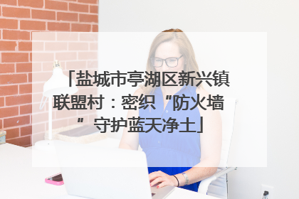 盐城市亭湖区新兴镇联盟村：密织“防火墙”守护蓝天净土