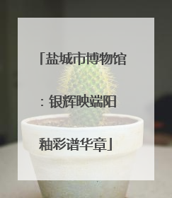 盐城市博物馆：银辉映端阳 釉彩谱华章