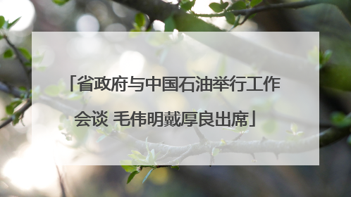 省政府与中国石油举行工作会谈 毛伟明戴厚良出席