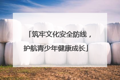 筑牢文化安全防线，护航青少年健康成长