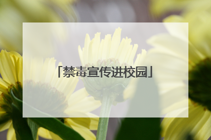 禁毒宣传进校园