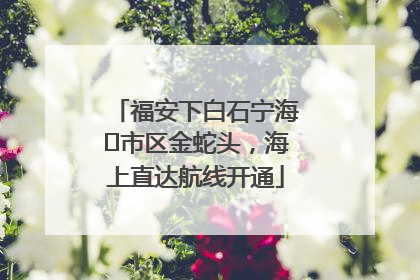 福安下白石宁海⇆市区金蛇头，海上直达航线开通