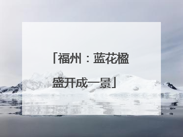 福州：蓝花楹盛开成一景