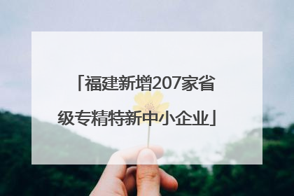 福建新增207家省级专精特新中小企业
