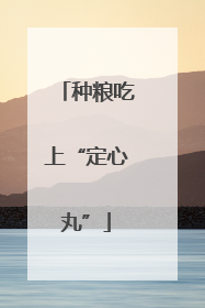 种粮吃上“定心丸”