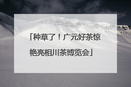 种草了！广元好茶惊艳亮相川茶博览会