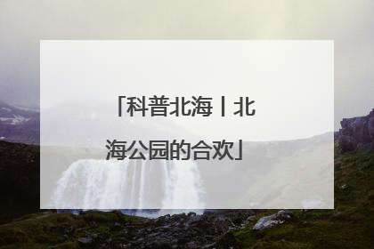 科普北海丨北海公园的合欢