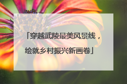穿越武陵最美风景线，绘就乡村振兴新画卷