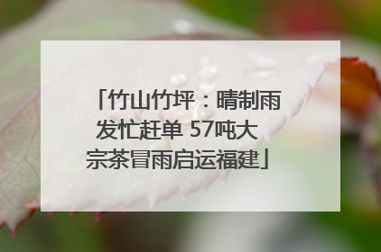 竹山竹坪：晴制雨发忙赶单 57吨大宗茶冒雨启运福建