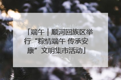 端午｜顺河回族区举行“粽情端午 传承安康”文明集市活动