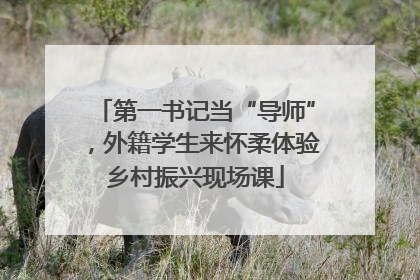 第一书记当“导师”，外籍学生来怀柔体验乡村振兴现场课