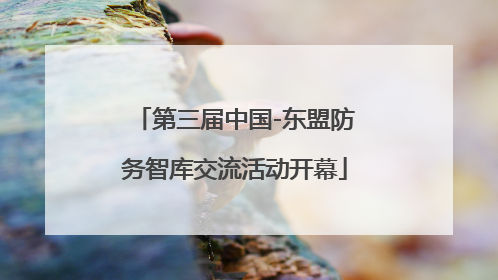 第三届中国-东盟防务智库交流活动开幕